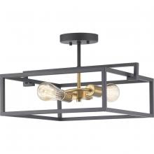 Progress P350120-143 - Blakely Collection Two-Light Semi-Flush Convertible