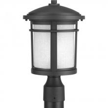 Progress P6424-31 - Wish Collection One-Light Post Lantern